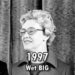1997 – Wet op de Beroepen in de Individuele Gezondheidszorg